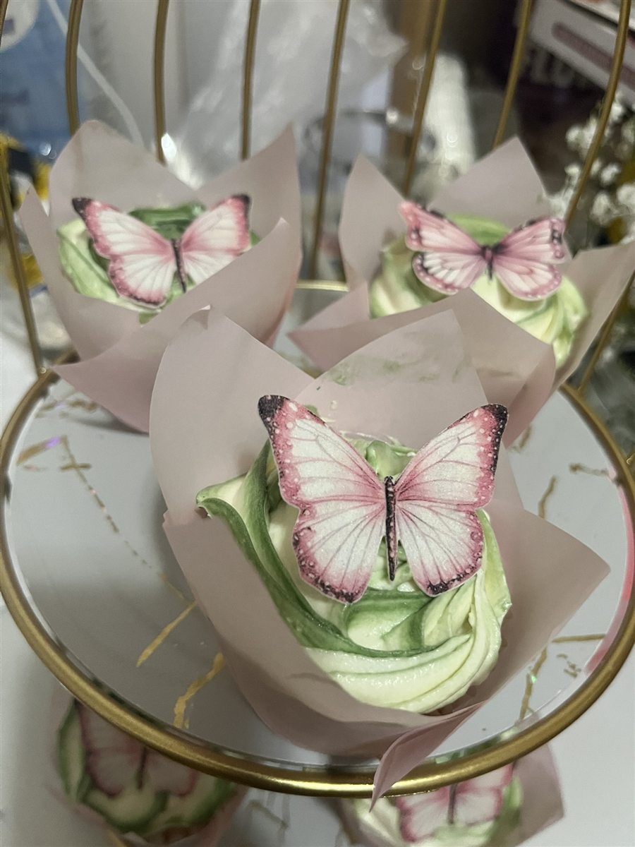 Butterfly garden cupcakes